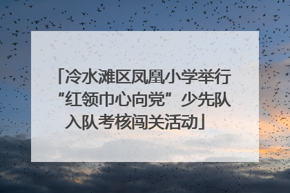 冷水滩区凤凰小学举行“红领巾心向党”少先队入队考核闯关活动