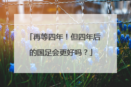 再等四年！但四年后的国足会更好吗？