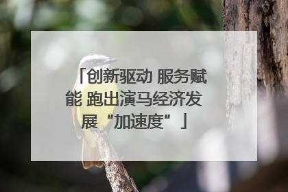 创新驱动 服务赋能 跑出演马经济发展“加速度”