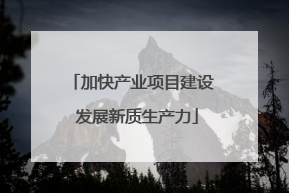 加快产业项目建设 发展新质生产力