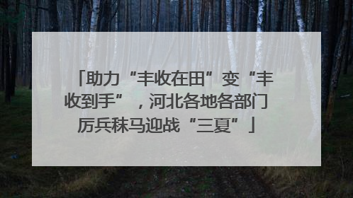 助力“丰收在田”变“丰收到手”，河北各地各部门厉兵秣马迎战“三夏”
