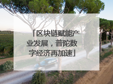 区块链赋能产业发展，普陀数字经济再加速