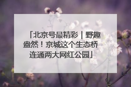 北京号最精彩｜野趣盎然！京城这个生态桥连通两大网红公园