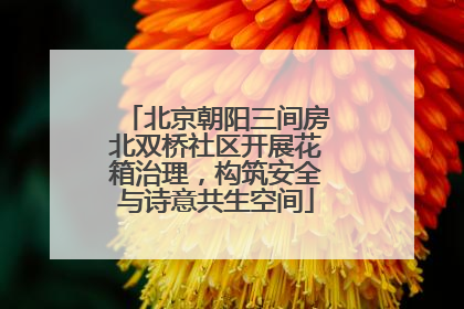 北京朝阳三间房北双桥社区开展花箱治理，构筑安全与诗意共生空间