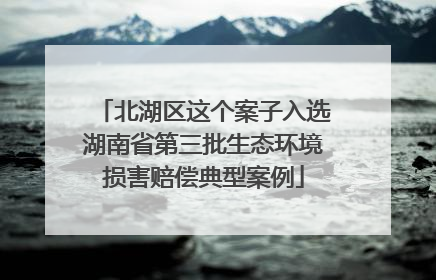 北湖区这个案子入选湖南省第三批生态环境损害赔偿典型案例