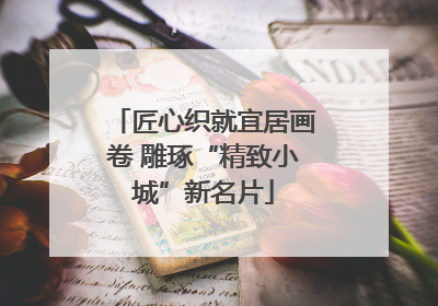 匠心织就宜居画卷 雕琢“精致小城”新名片