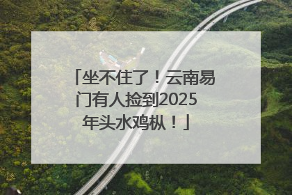坐不住了！云南易门有人捡到2025年头水鸡枞！