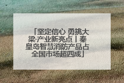 坚定信心 勇挑大梁·产业新亮点丨秦皇岛智慧消防产品占全国市场超四成