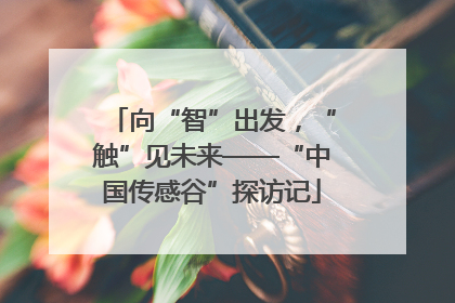 向“智”出发，“触”见未来——“中国传感谷”探访记