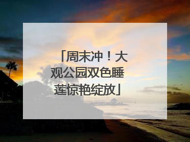 周末冲！大观公园双色睡莲惊艳绽放