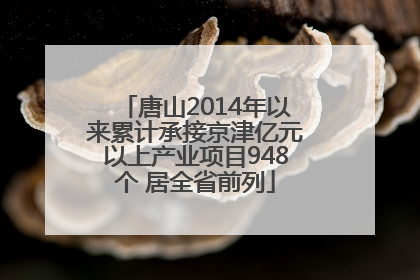 唐山2014年以来累计承接京津亿元以上产业项目948个 居全省前列