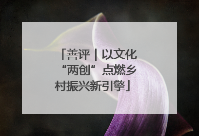 善评｜以文化“两创”点燃乡村振兴新引擎