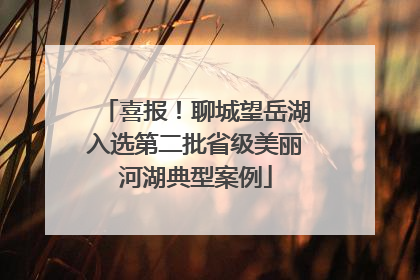喜报！聊城望岳湖入选第二批省级美丽河湖典型案例