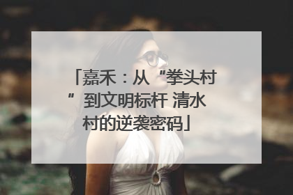 嘉禾：从“拳头村”到文明标杆 清水村的逆袭密码