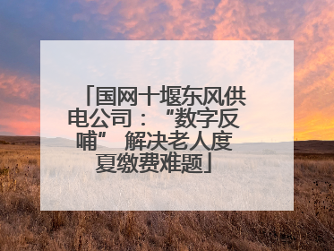国网十堰东风供电公司：“数字反哺” 解决老人度夏缴费难题