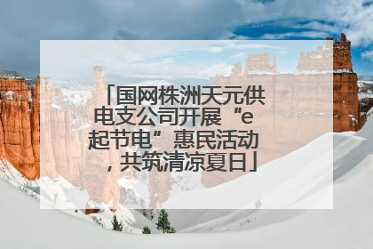 国网株洲天元供电支公司开展“e起节电”惠民活动，共筑清凉夏日