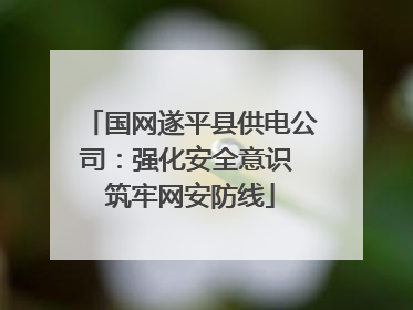国网遂平县供电公司：强化安全意识 筑牢网安防线