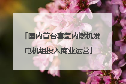 国内首台套氢内燃机发电机组投入商业运营