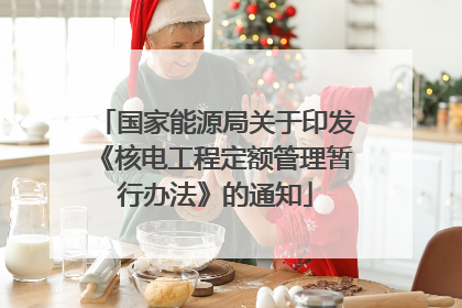 国家能源局关于印发《核电工程定额管理暂行办法》的通知