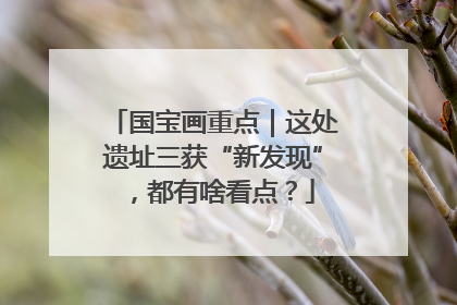 国宝画重点｜这处遗址三获“新发现”，都有啥看点？
