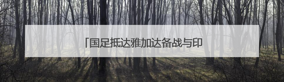 国足抵达雅加达备战与印尼队的世预赛18强赛