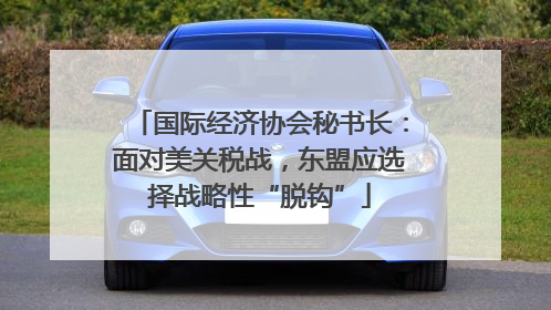 国际经济协会秘书长：面对美关税战，东盟应选择战略性“脱钩”