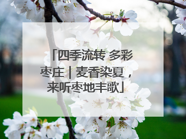 四季流转 多彩枣庄｜麦香染夏，来听枣地丰歌