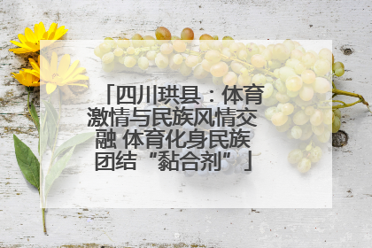 四川珙县：体育激情与民族风情交融 体育化身民族团结“黏合剂”