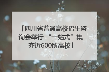 四川省普通高校招生咨询会举行 “一站式”集齐近600所高校