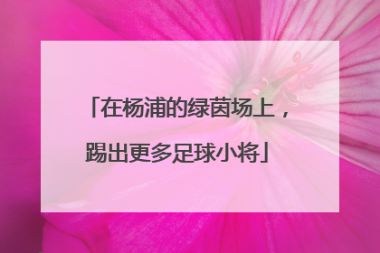 在杨浦的绿茵场上，踢出更多足球小将