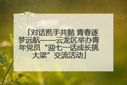 对话携手共勉 青春逐梦远航——云龙区举办青年党员“迎七一话成长挑大梁”交流活动