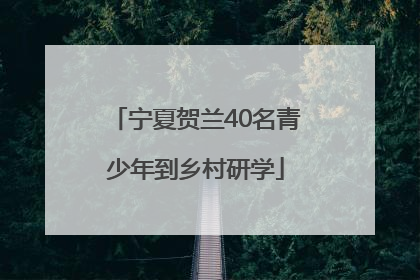 宁夏贺兰40名青少年到乡村研学