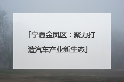 宁夏金凤区：聚力打造汽车产业新生态