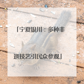 宁夏银川：多种非遗技艺引民众参观