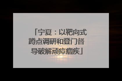 宁夏：以靶向式蹲点调研和登门督导破解顽瘴痼疾