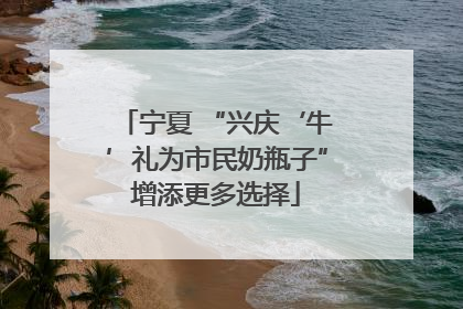 宁夏 “兴庆‘牛’礼为市民奶瓶子”增添更多选择