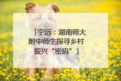 宁远：湖南师大附中师生探寻乡村振兴“密码”