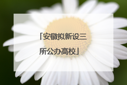 安徽拟新设三所公办高校