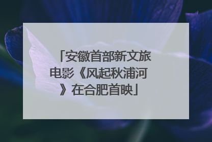 安徽首部新文旅电影《风起秋浦河》在合肥首映
