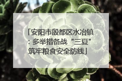 安阳市殷都区水冶镇：多举措备战“三夏” 筑牢粮食安全防线