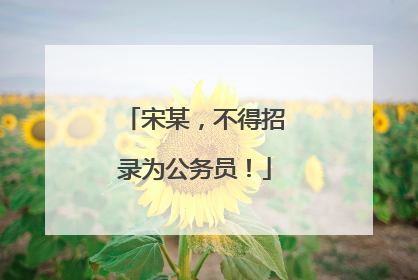 宋某，不得招录为公务员！