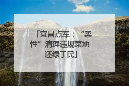 宜昌点军：“柔性”清理违规菜地 还绿于民