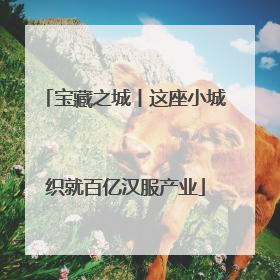 宝藏之城丨这座小城织就百亿汉服产业