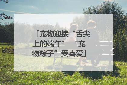 宠物迎接“舌尖上的端午” “宠物粽子”受喜爱