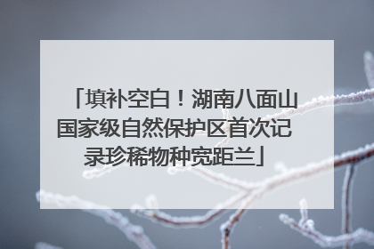 填补空白！湖南八面山国家级自然保护区首次记录珍稀物种宽距兰