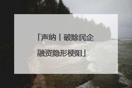 声纳丨破除民企融资隐形梗阻