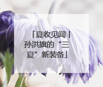 夏收见闻丨孙洪旗的“三夏”新装备