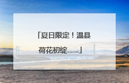 夏日限定！温县荷花初绽……