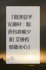 夏津县平安湖村：粽香包意暖夕阳 艾锤传情敬老心