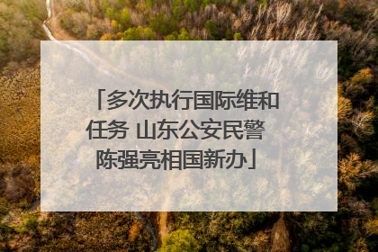 多次执行国际维和任务 山东公安民警陈强亮相国新办